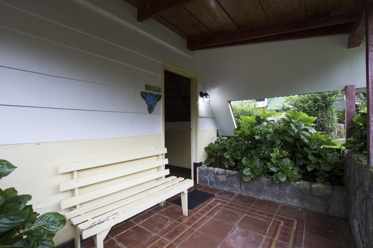Hortensias Vara Blanca Heredia